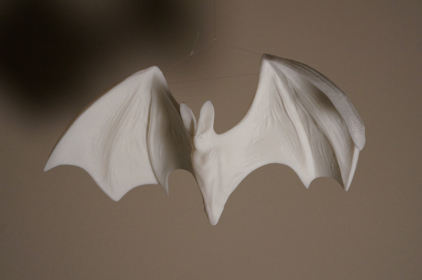 GHOST BAT