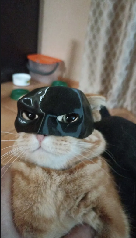 BAT CAT HALF MASK