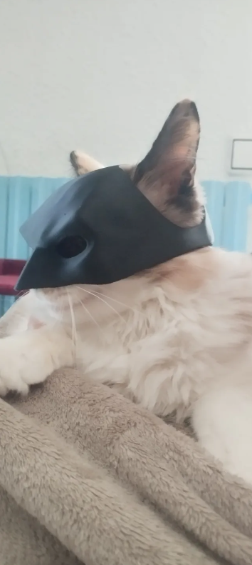 BAT CAT HALF MASK