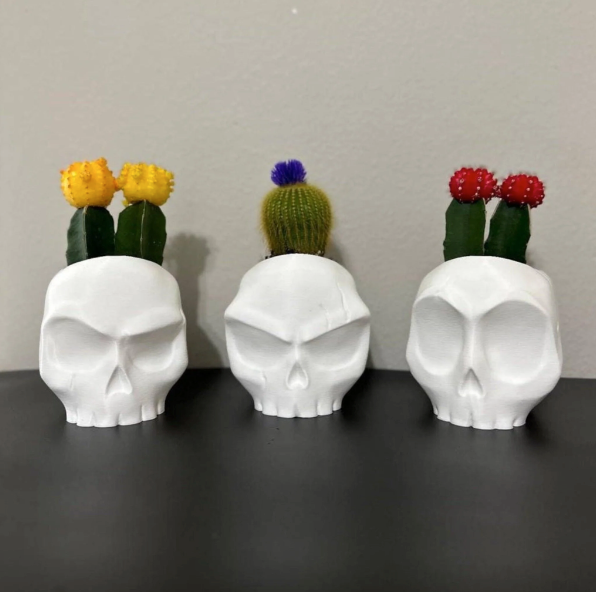 Skull Vases